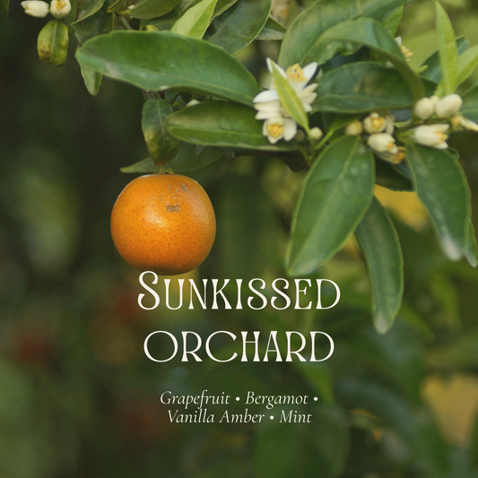 Sunkissed Orchard Candle