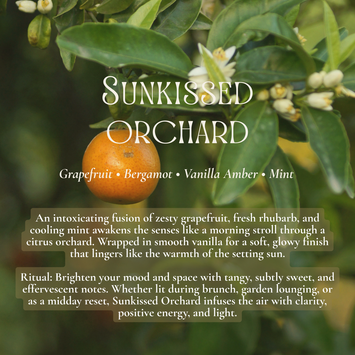 Studio Signature: Midi Candle; Kofi