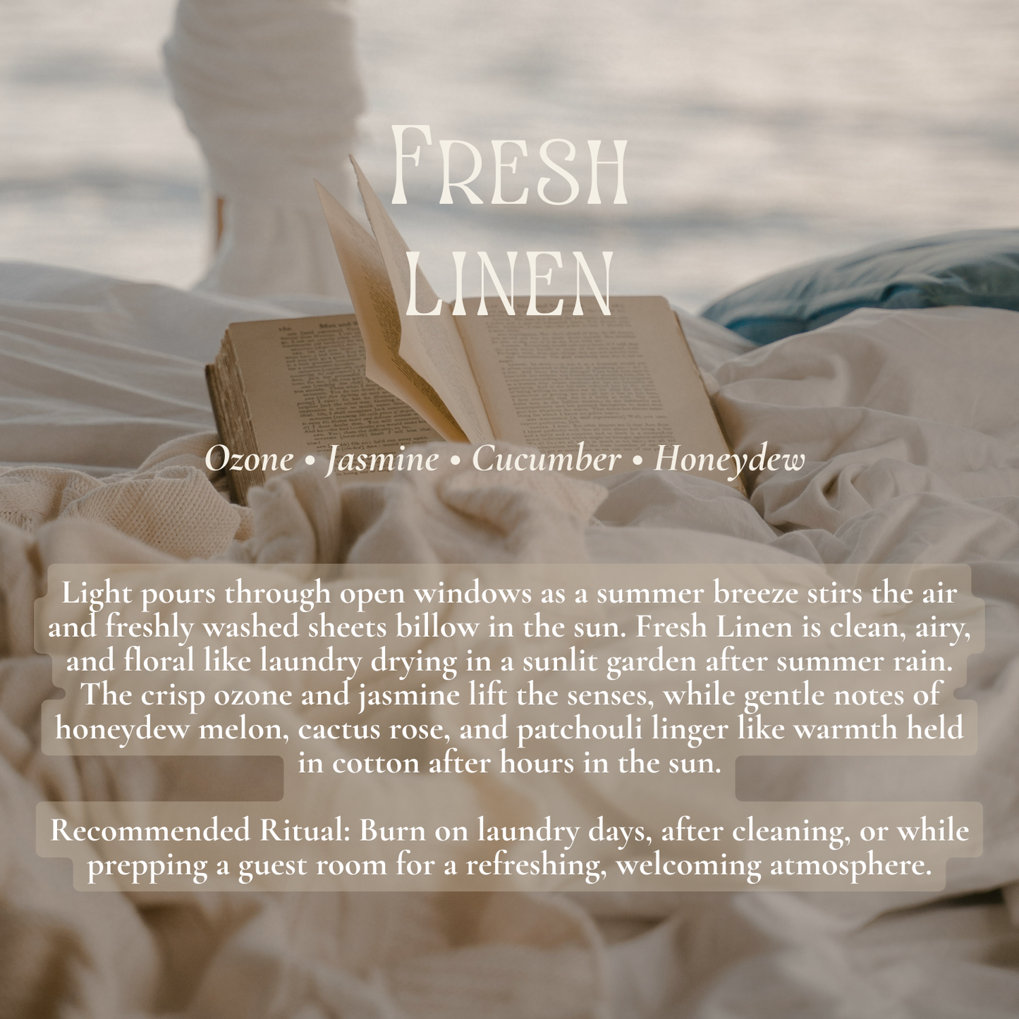 Studio Signature: Midi Candle; Kofi